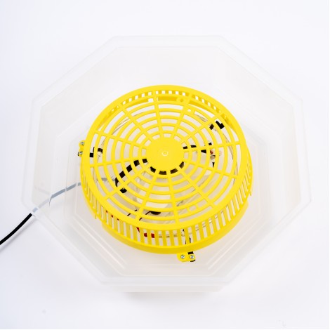 Incubator electric Cleo 5 ERT-MN 9050, 60 oua gaina/150 oua prepelita (clocitoare)